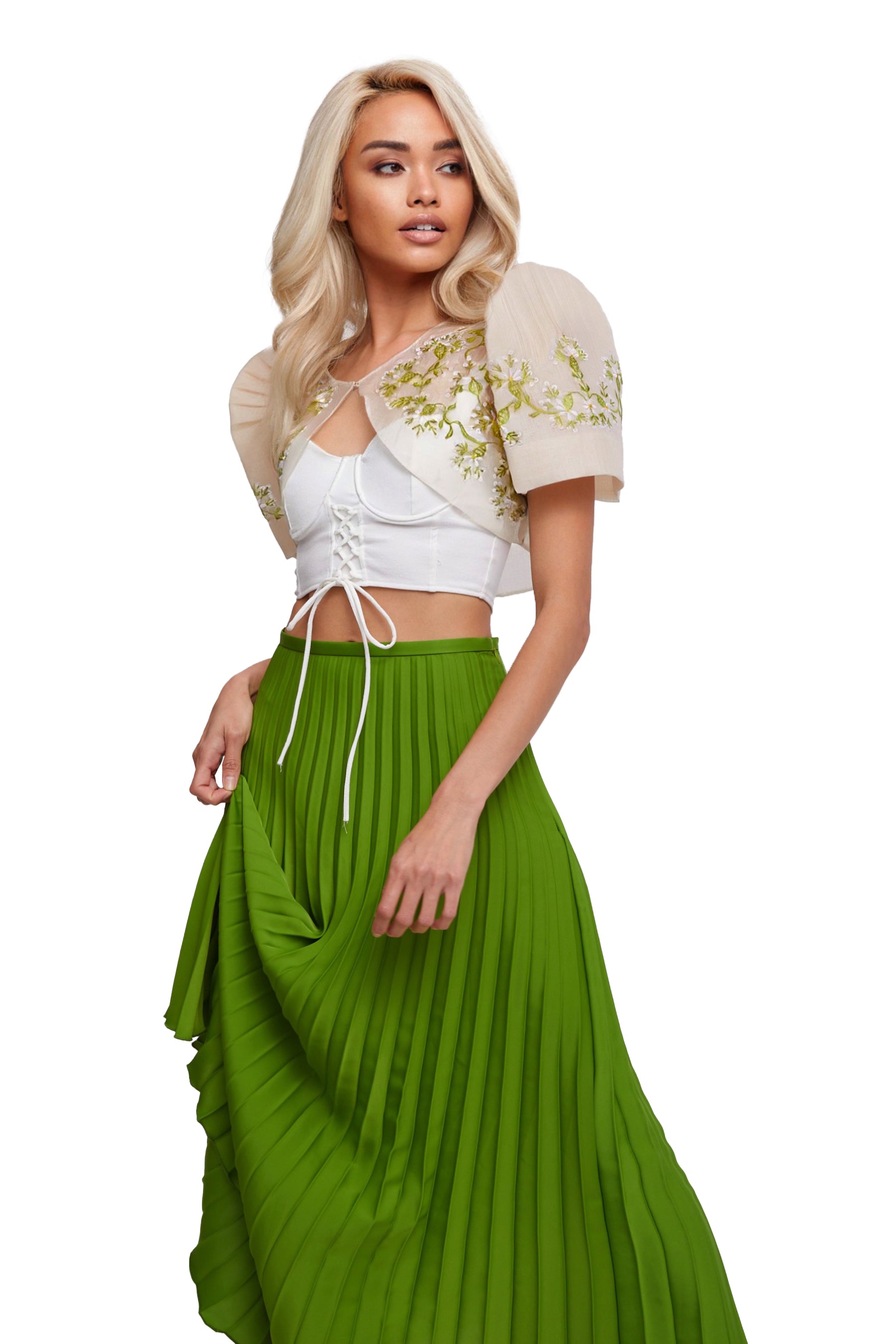 Dahlia Bolero (Spanish Green)